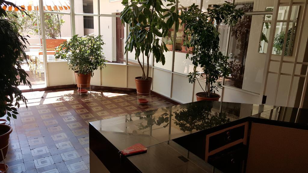 Hotel Tito Arequipa Ngoại thất bức ảnh